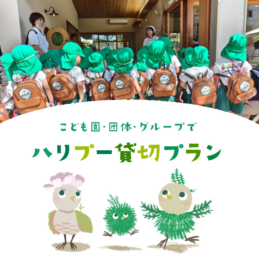 こども園・団体・グループで ハリプー貸切プラン