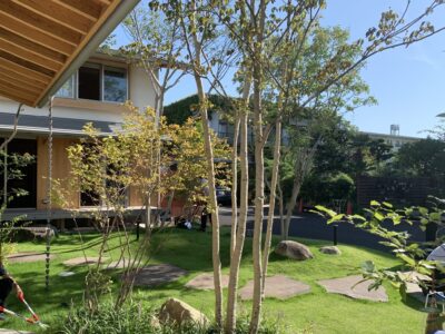 エコ建築考房の日々のあれこれ🌿①　econos掃除編