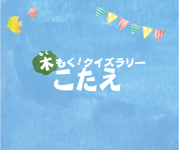 木もくクイズラリーこたえ