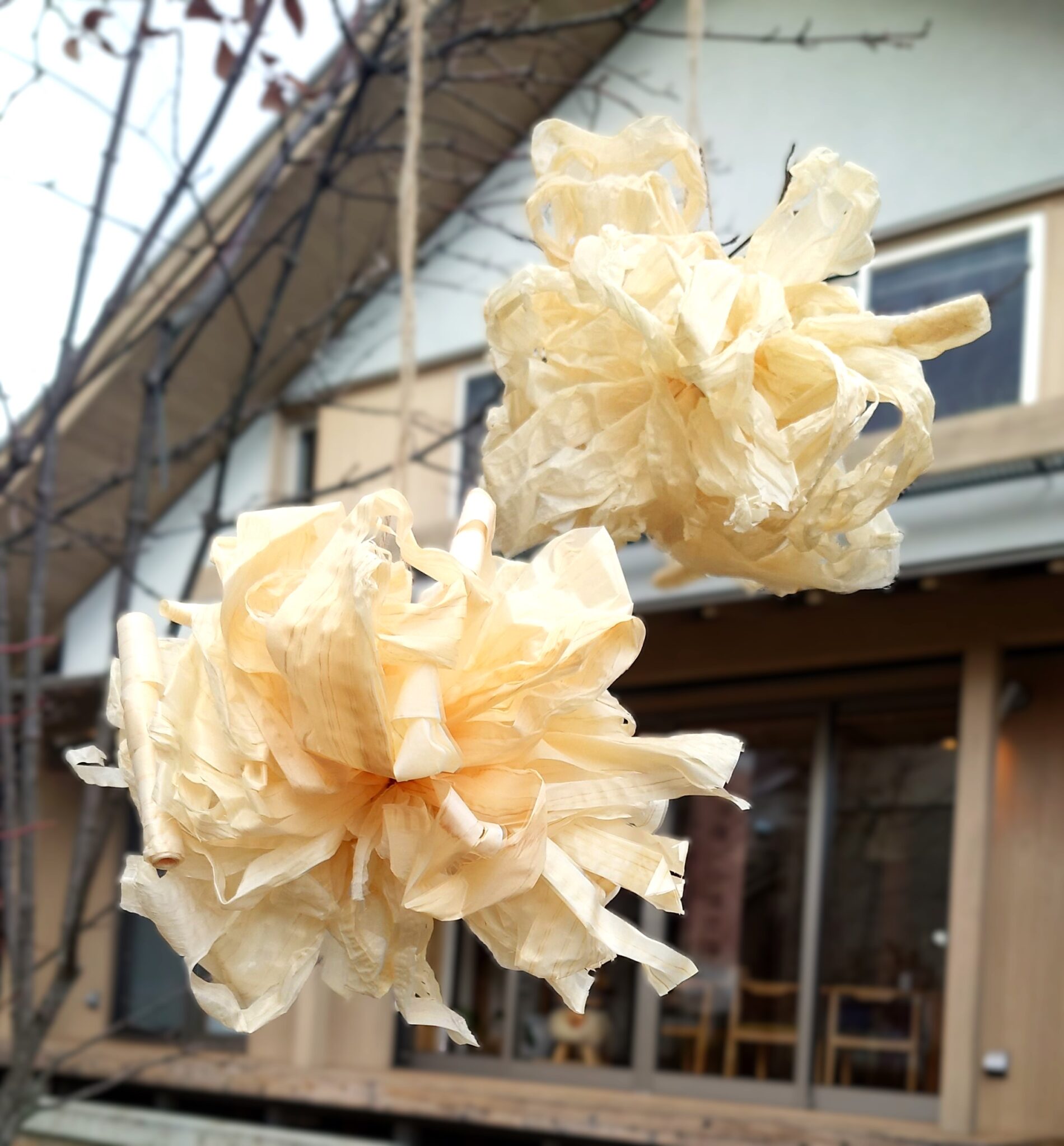 【終了】春日井の家🌼2月ワークショップ