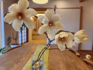 🌳春日井の家🌳春の香り