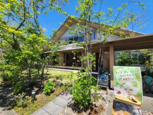 🌳春日井の家🌳ハリプーがやってきた🐤