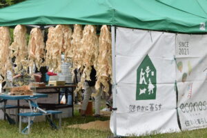 ポンポン作りｉｎ粉祭にご参加ありがとうございました！