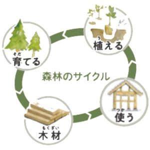 日本の森について考えてみよう③🌳🌳🌳