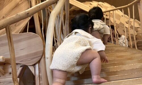 木の家と健康