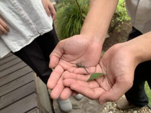 雨上がりのお客様