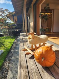 🌳春日井の家🌳かぼちゃ🎃